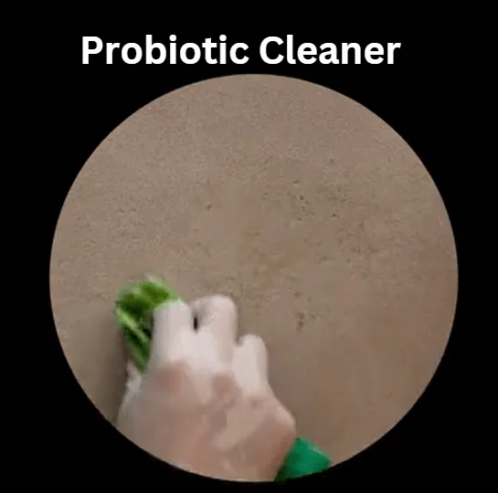 Handy Andy Probiotic Cleaner