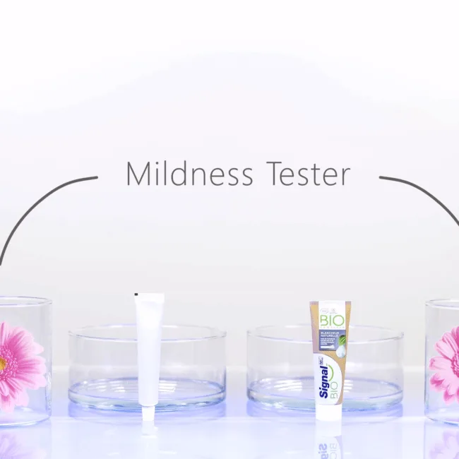 Signal – Mildness Test