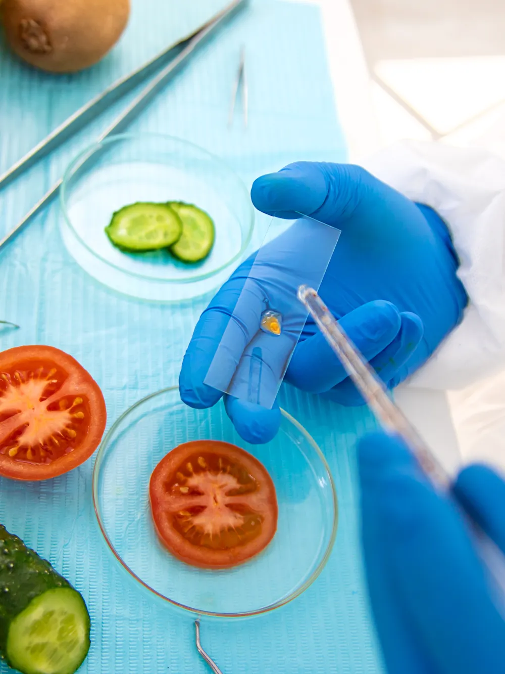 Fresh tomato and cucumber in a food and beverage freshness testing demo